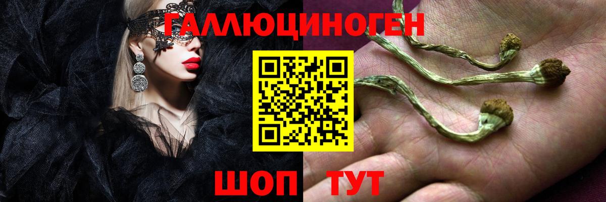 Галлюциногенные грибы Psilocybe  Вход с VPN  Галлюциногенные грибы мухоморы  Новочеркасск 