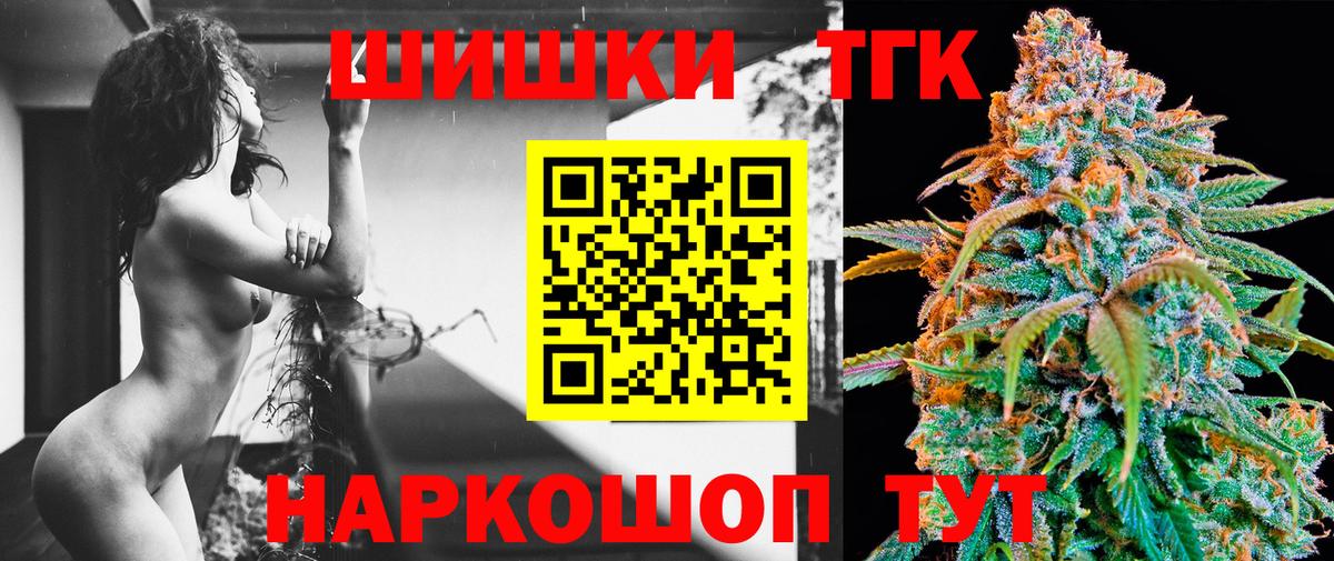 A PVP Новочеркасск